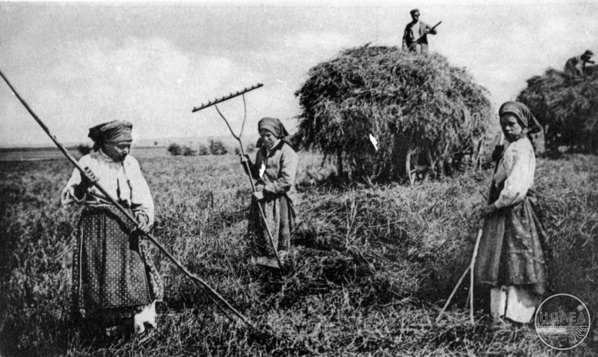Сінокіс 1900-х у Київщині: історія сільського працелюбства